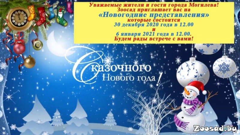 буйничское поле могилев зоопарк. Смотреть фото буйничское поле могилев зоопарк. Смотреть картинку буйничское поле могилев зоопарк. Картинка про буйничское поле могилев зоопарк. Фото буйничское поле могилев зоопарк