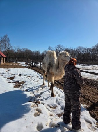 ������� ����