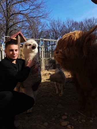 ���������� ������