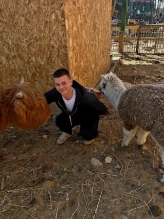 ���������� ������