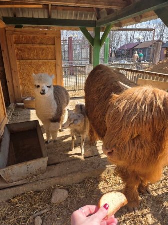 ���������� ������