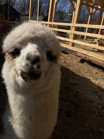 ���������� ������