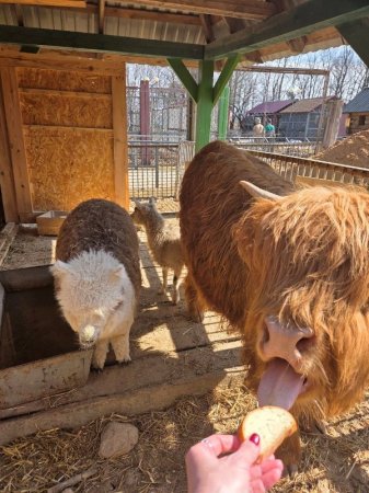 ���������� ������