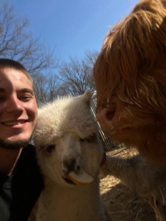 ���������� ������