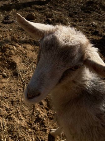 ���������� ������