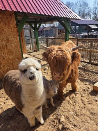 ���������� ������