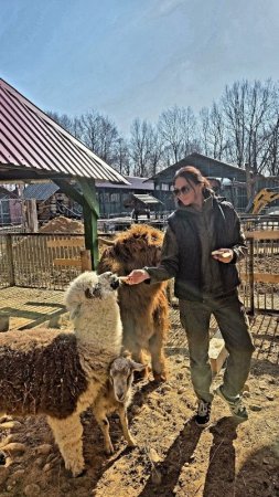 ���������� ������