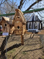 ������ ���