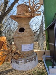 ������ ���