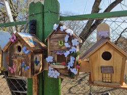 ������ ���