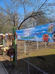 ������ ���